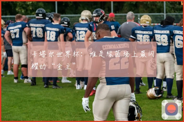 卡塔尔世界杯：谁是绿茵场上最闪耀的“金主”