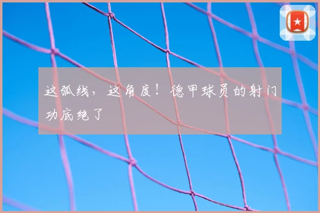 这弧线，这角度！德甲球员的射门功底绝了